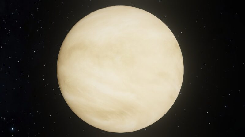Magien ved Venus i januar 2023 – Venus i Vandmanden
